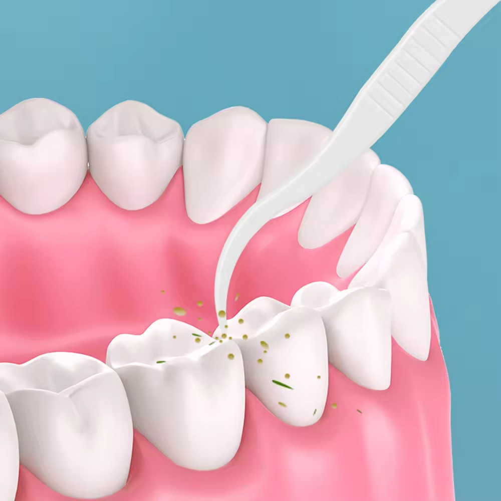 Dental Floss Picks