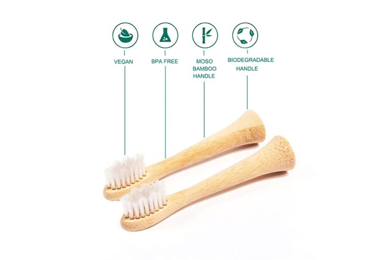 Electric Toothbrush Head