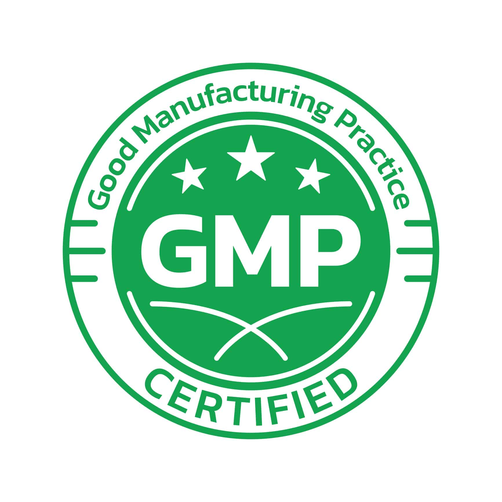 GMP Audit